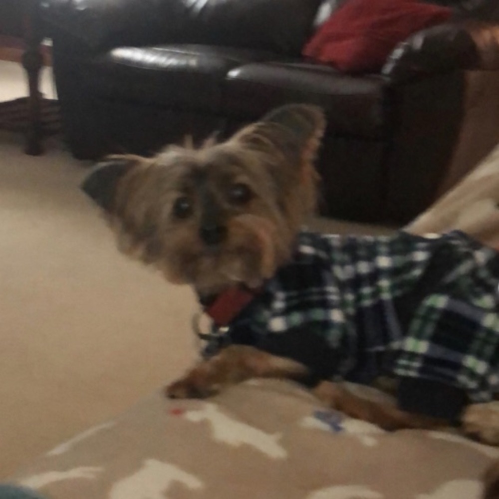 Meet your Posher, Chery